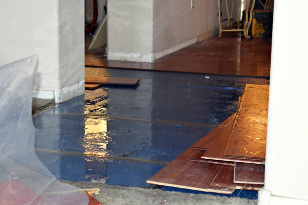 Professional Burst Pipe Cleanup technician working in Leonard, MI