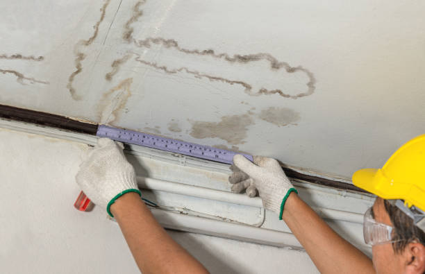 Reliable Burst Pipe Cleanup contractor in Leonard, MI by Local Water Damage Repair